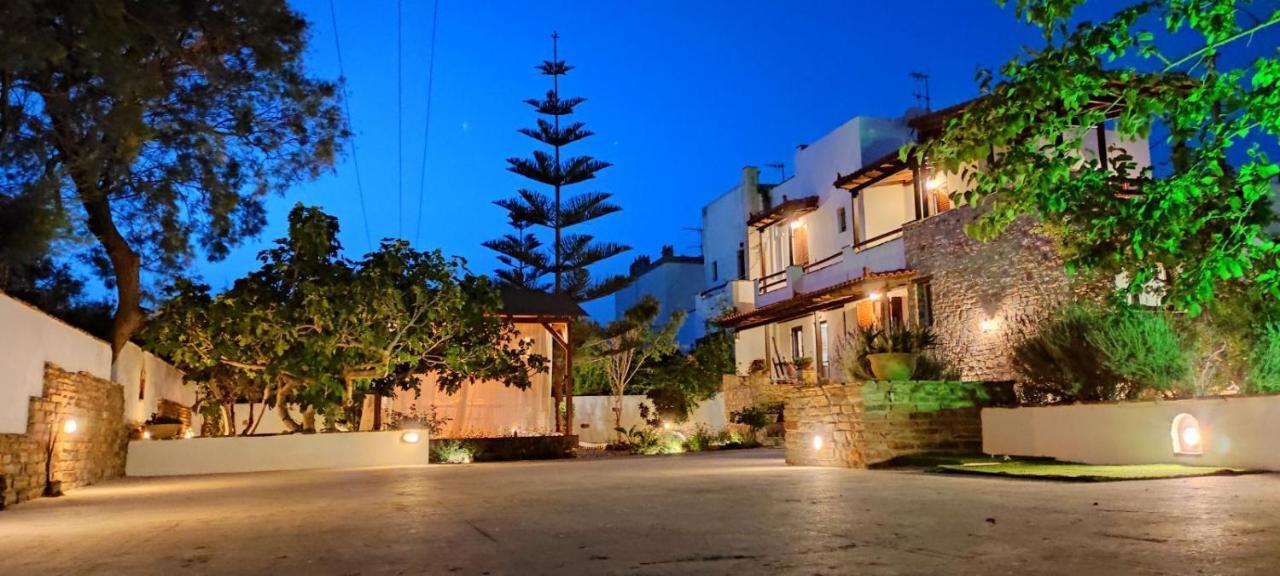 Naxos Chora Villa "Vaporias" With Amazing Garden Naxos City Exterior photo