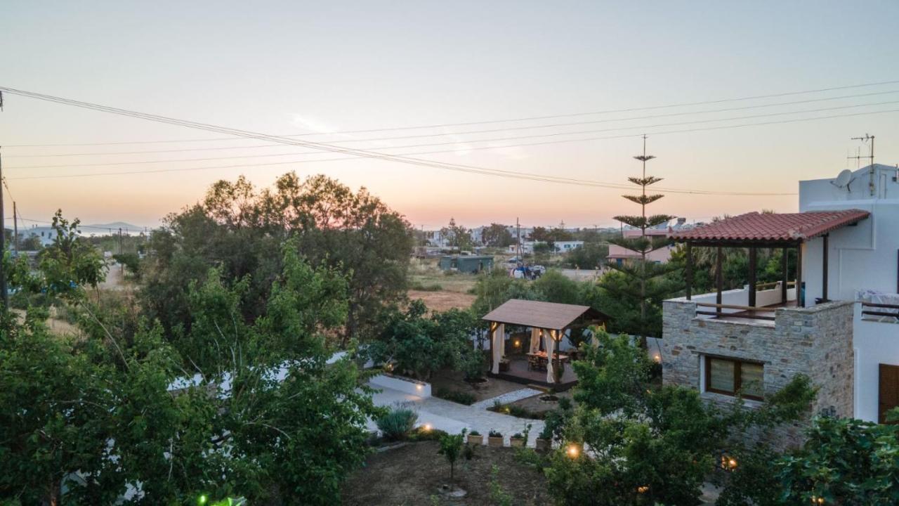 Naxos Chora Villa "Vaporias" With Amazing Garden Naxos City Exterior photo