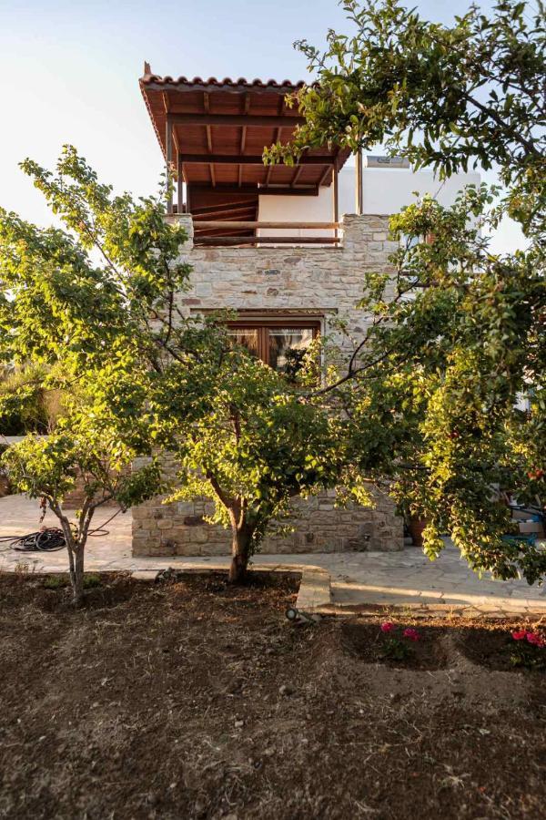 Naxos Chora Villa "Vaporias" With Amazing Garden Naxos City Exterior photo